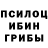 Псилоцибиновые грибы MAGIC MUSHROOMS Alexandr Krysin